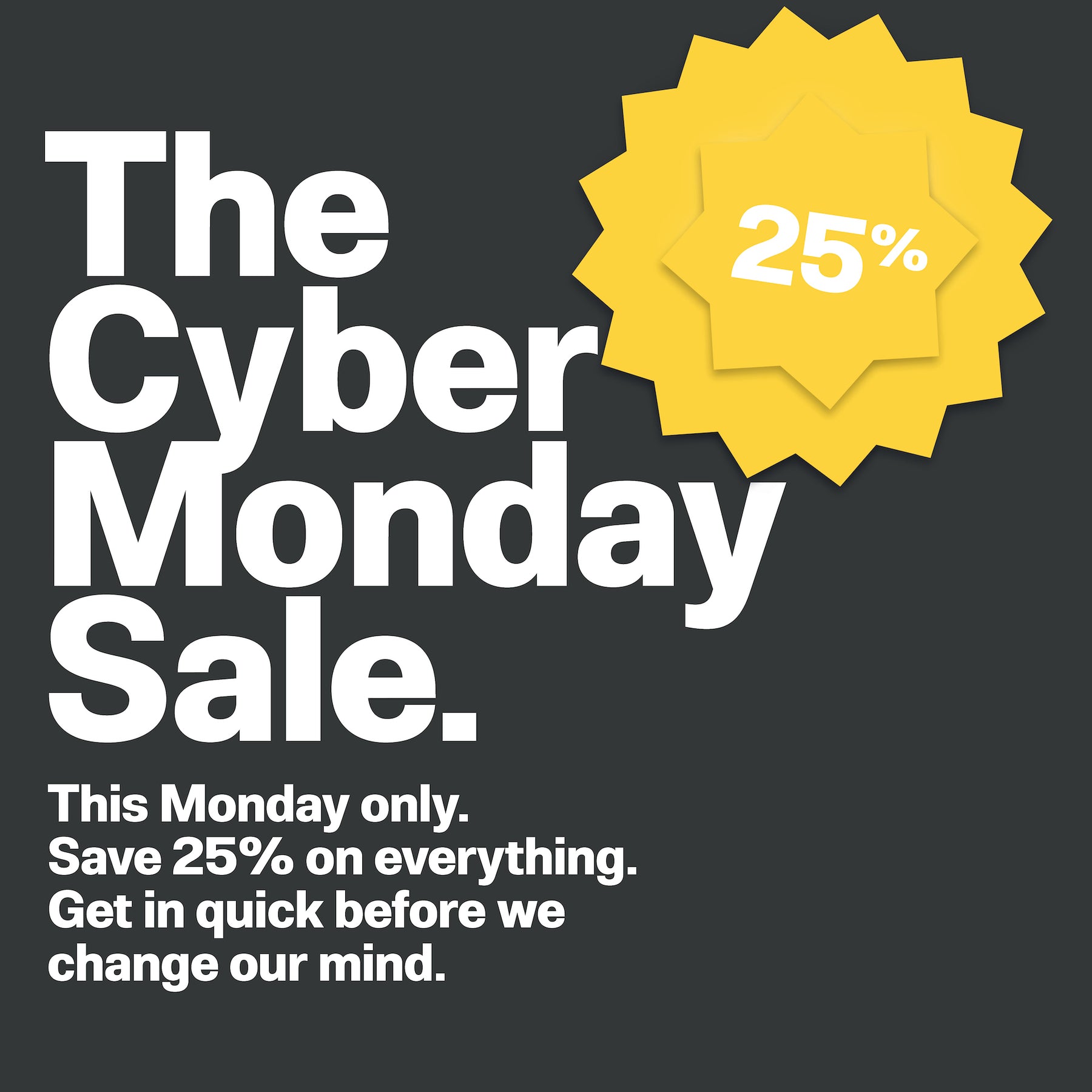 The Cyber Monday Sale.